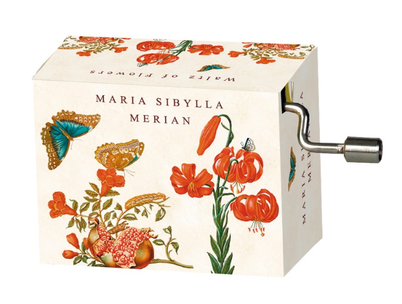 Flasneta Maria Sibylla Merian (fluturi) Tchaikovsky Walts of flowers Fridolin